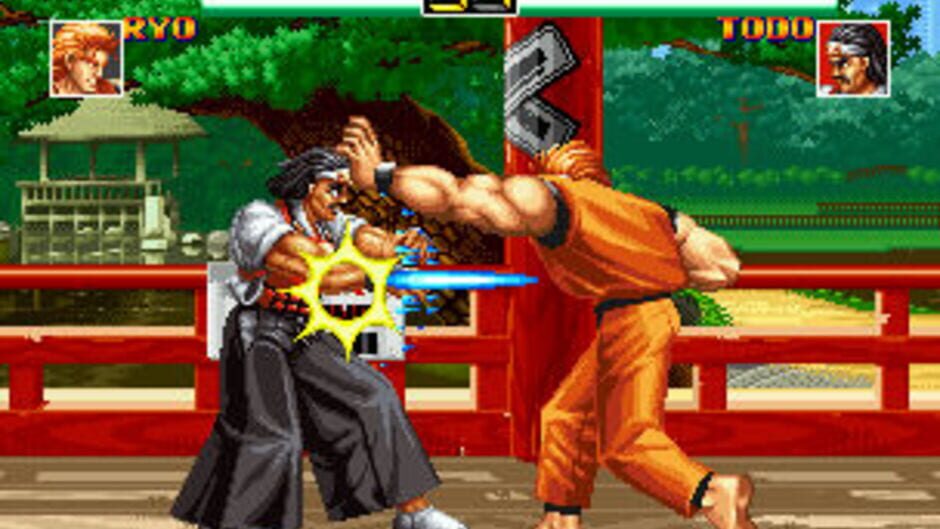 Art of Fighting