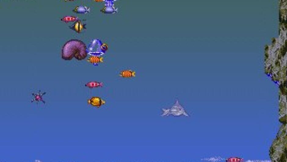 Ecco the Dolphin